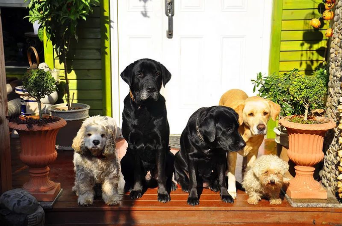 Khu vườn của người phụ nữ ở ẩn từ tuổi 409