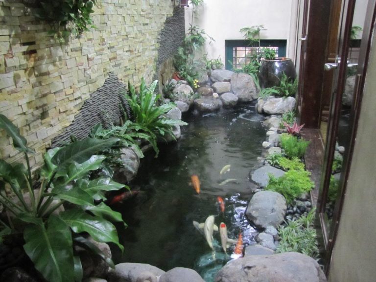 Thiết kế tiểu cảnh sân vườn hồ cá koi đẹp cho ngôi nhà xinh 1