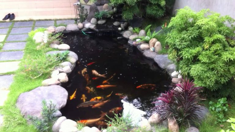 Thiết kế tiểu cảnh sân vườn hồ cá koi đẹp cho ngôi nhà xinh 2
