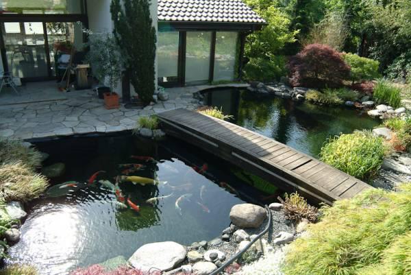 Thiết kế tiểu cảnh sân vườn hồ cá koi đẹp cho ngôi nhà xinh 3