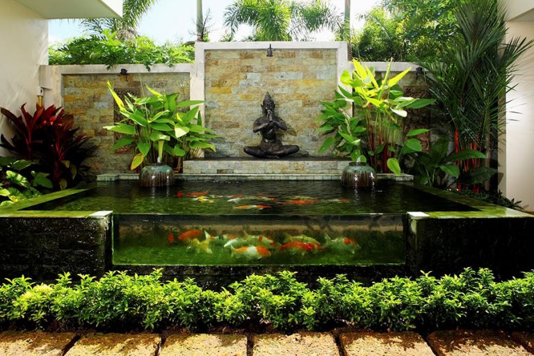 Thiết kế tiểu cảnh sân vườn hồ cá koi đẹp cho ngôi nhà xinh 4