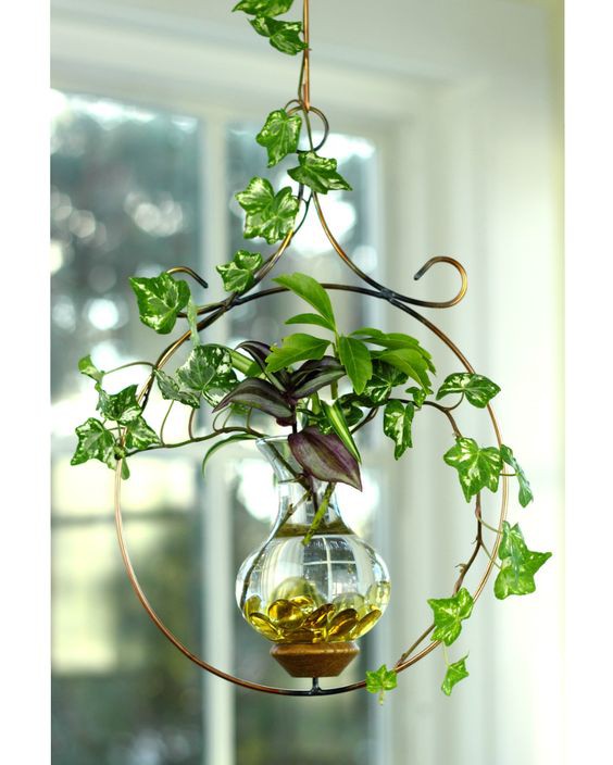 Nhà nhỏ hẹp nhưng vẫn có các 'khu vườn treo' đẹp long lanh đón Tết - ảnh 3