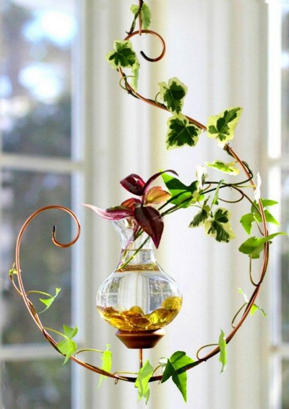Nhà nhỏ hẹp nhưng vẫn có các 'khu vườn treo' đẹp long lanh đón Tết - ảnh 4