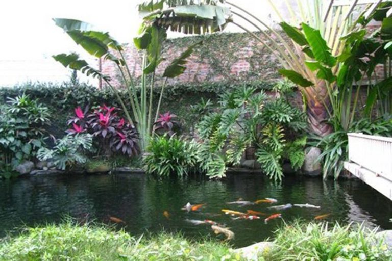 Ý tưởng thiết kế sân vườn mới lạ và độc đáo 2