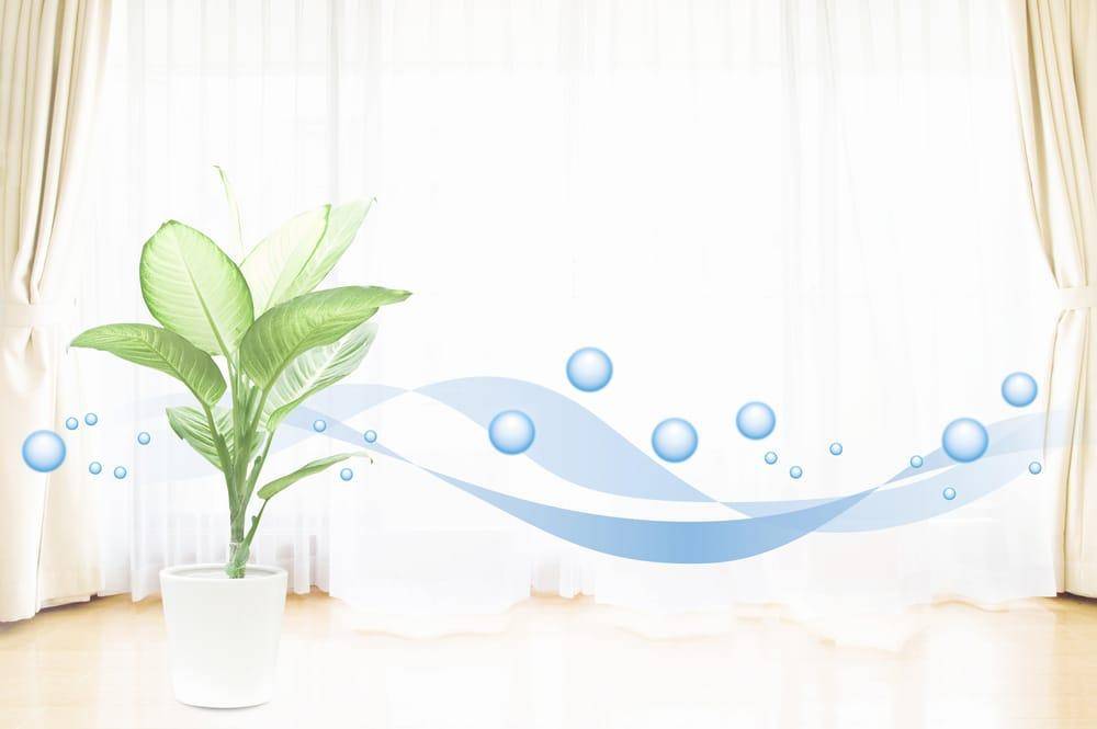 Rèm lọc thông minh – mang không khí sạch đến với ngôi nhà của bạn1