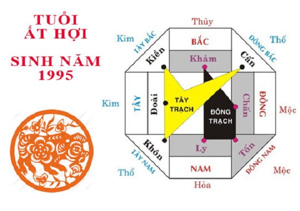sinh nam 1995 menh gi? nguoi sinh nam 1995 nen son phong mau gi de tu loc? - 4