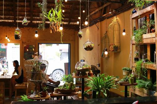 Buôn may bán đắt nhờ bài trí cây cảnh hợp phong thủy cửa hàng2
