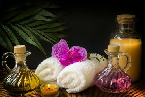 Hoa Lan phong thủy: Loài hoa vương giả mang may mắn đến cho mọi nhà3