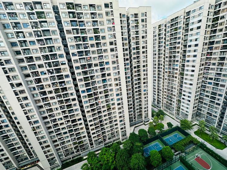 Nhà Đầu Tư Phía Bắc Đang “Nam Tiến” Mạnh Mẽ