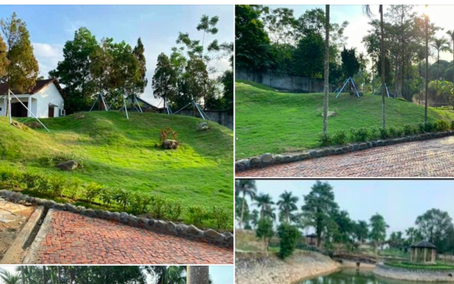 Theo đám đông, nổi máu làm giàu, nhiều nhà đầu tư rút hầu bao mua đất ngoại ô tính làm farmstay, giờ quay sang quyết bán cắt lỗ - Ảnh 1.5