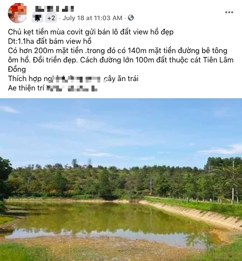 Theo đám đông, nổi máu làm giàu, nhiều nhà đầu tư rút hầu bao mua đất ngoại ô tính làm farmstay, giờ quay sang quyết bán cắt lỗ - Ảnh 1.3
