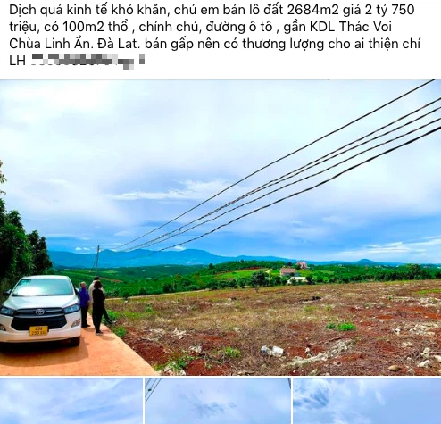 Theo đám đông, nổi máu làm giàu, nhiều nhà đầu tư rút hầu bao mua đất ngoại ô tính làm farmstay, giờ quay sang quyết bán cắt lỗ - Ảnh 2.6